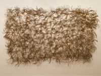 2010 cardboard