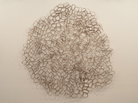 2010 cardboard