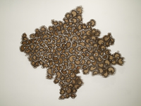 2010 cardboard
