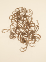 2010 cardboard