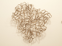 2010 cardboard