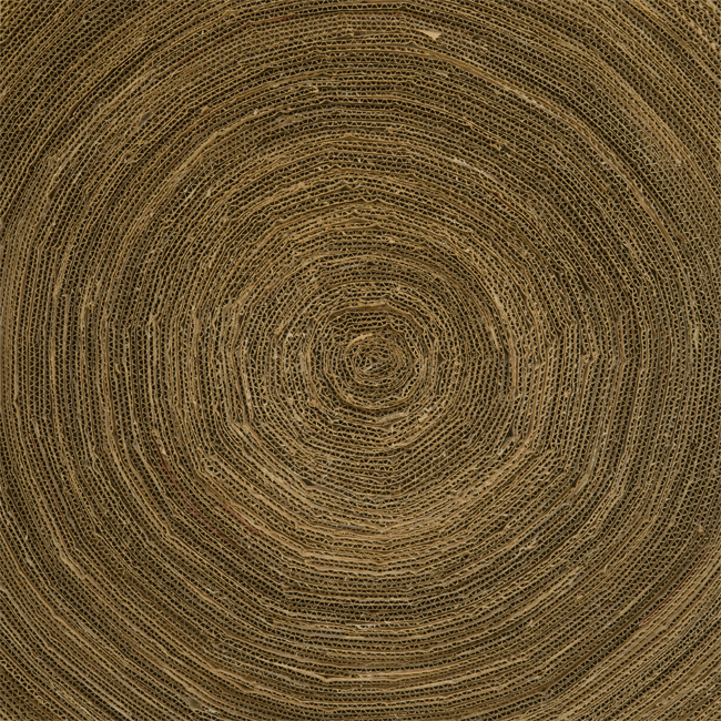 cardboard 2007 #1