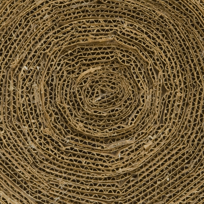 cardboard 2007 #1