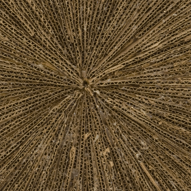 cardboard 2007 #2
