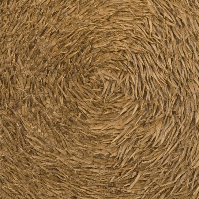 cardboard 2007 #6