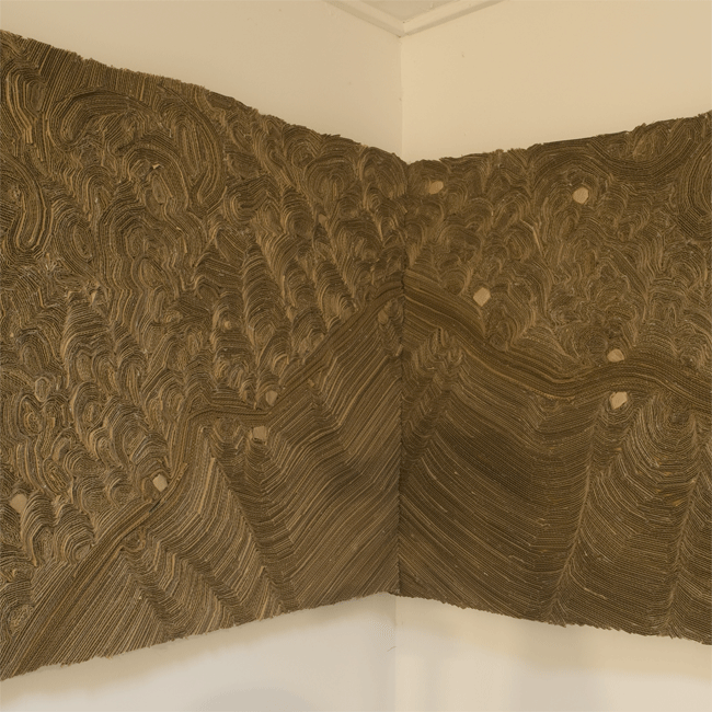 cardboard 2007 #8