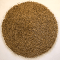 circle 07 #6 grass