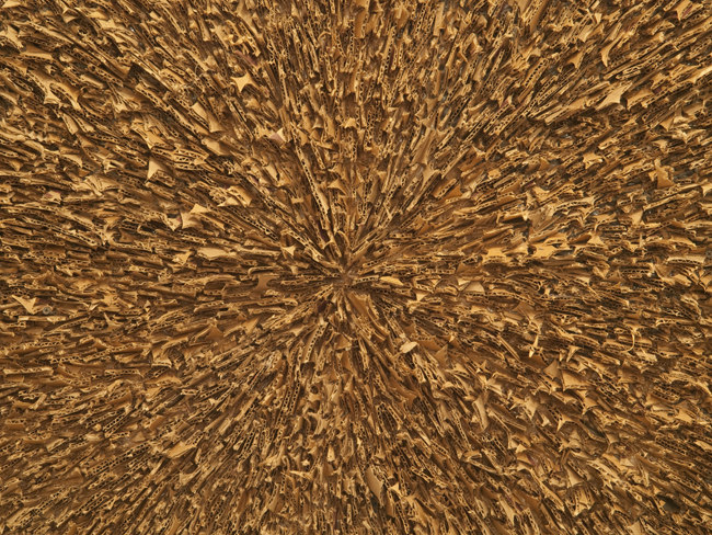 cardboard 09 #13