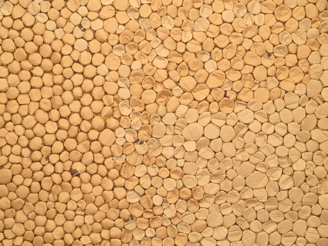 cardboard 09 #17