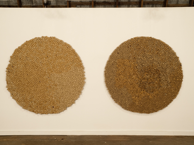 cardboard 09 #16-17