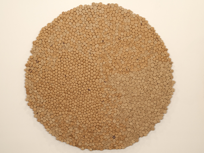 cardboard 09 #17
