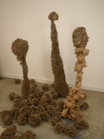 2009 #7