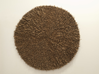 cardboard 2009 #13