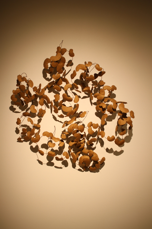 K's in Space, 2015