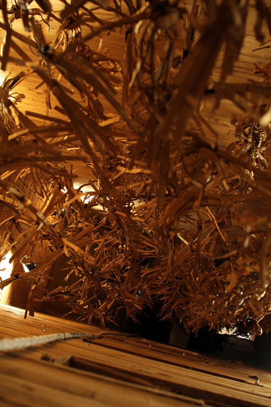 Wassaic Project     Tides of Time